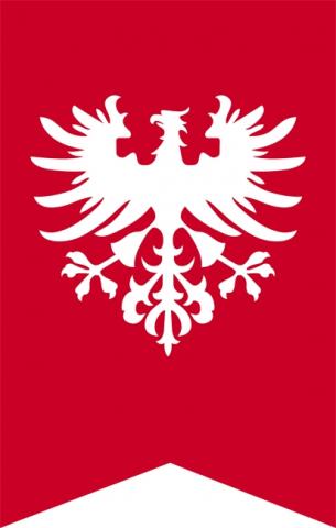 flaga powstania
